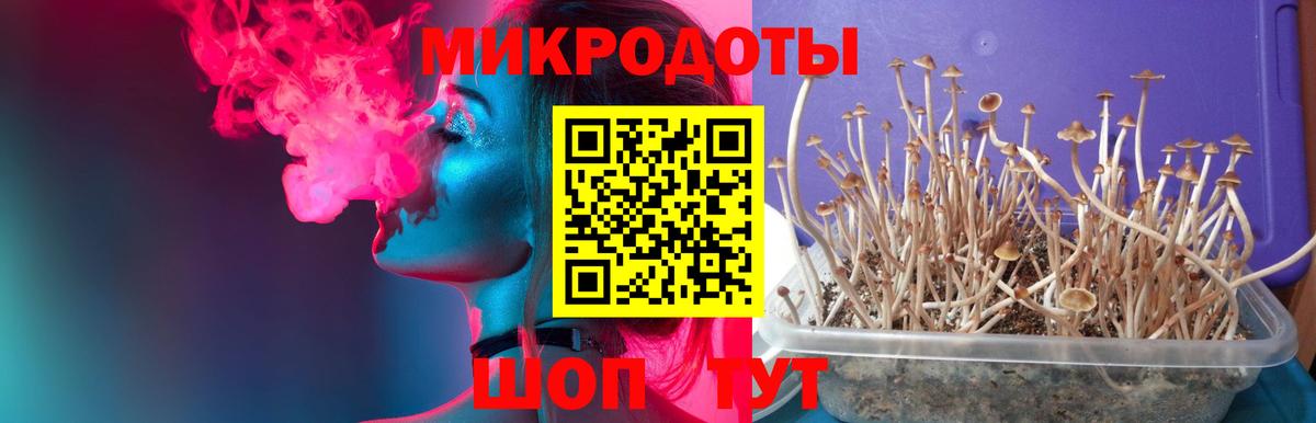 Долгопрудный  Галлюциногенные грибы мицелий  Вход с VPN 